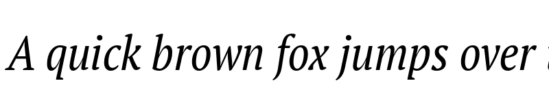 Preview of FONTSPRING DEMO - PT Serif Pro Narrow Book Italic font