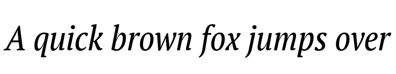 Preview of FONTSPRING DEMO - PT Serif Pro Narrow Italic font