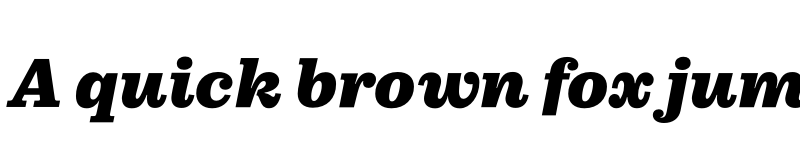 Preview of FONTSPRING DEMO - Pulpo Black Italic font