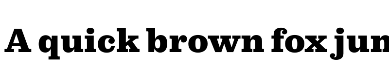 Preview of FONTSPRING DEMO - Pulpo Black Regular font