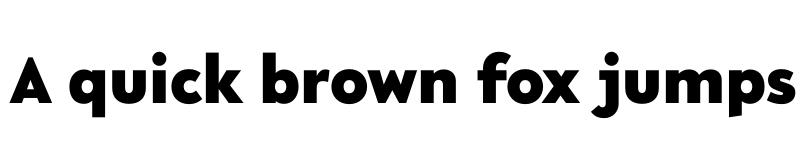 Preview of FONTSPRING DEMO - R-Flex Black Regular font