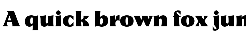 Preview of FONTSPRING DEMO - Racina Bold font