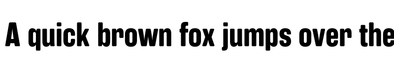 Preview of FONTSPRING DEMO - Rama Gothic Rnd E Bold Regular font