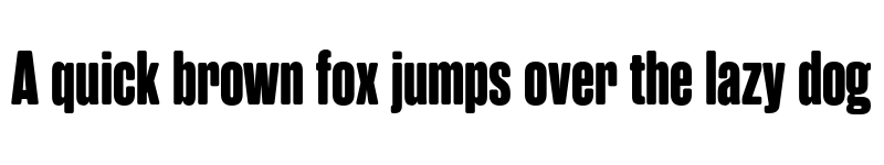 Preview of FONTSPRING DEMO - Rama Gothic Rnd M Heavy Regular font