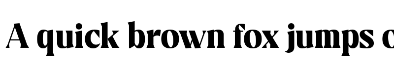 Preview of FONTSPRING DEMO - Ramus Bold font