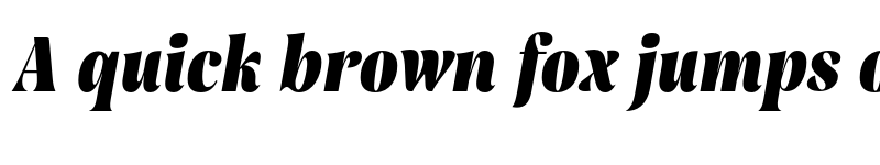 Preview of FONTSPRING DEMO - Rasbern Black Italic font