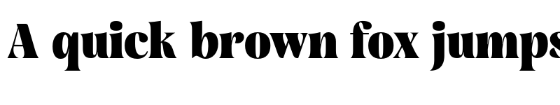 Preview of FONTSPRING DEMO - Rasbern Black Regular font