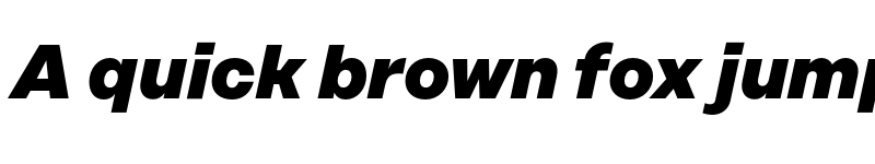 Preview of FONTSPRING DEMO - Rational Display ExtraBold Italic font