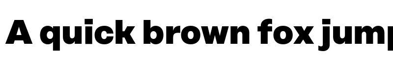 Preview of FONTSPRING DEMO - Rational Display ExtraBold Regular font