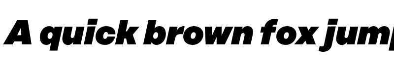 Preview of FONTSPRING DEMO - Rational Text Black Italic font