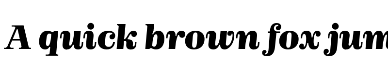 Preview of FONTSPRING DEMO - Realise Black Italic font