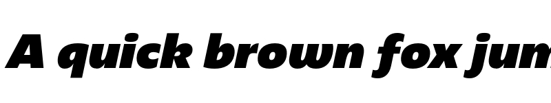 Preview of FONTSPRING DEMO - Redonda Black Italic Regular font