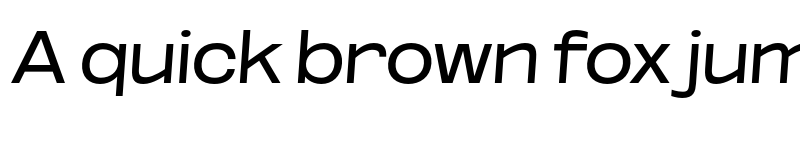 Preview of FONTSPRING DEMO - Reg ExtExp SeObli Italic font