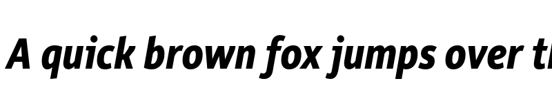 Preview of FONTSPRING DEMO - Rehn Condensed Bold Italic font