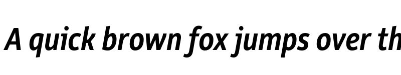 Preview of FONTSPRING DEMO - Rehn Condensed Medium Italic font