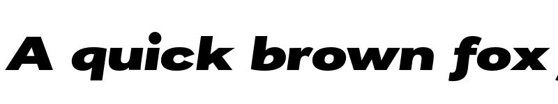 Preview of FONTSPRING DEMO - Remora Corp W5 Black Italic Italic font