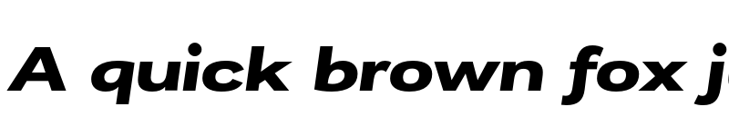 Preview of FONTSPRING DEMO - Remora Corp W5 Bold Italic Italic font