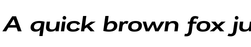 Preview of FONTSPRING DEMO - Remora Corp W5 Demi Italic Italic font