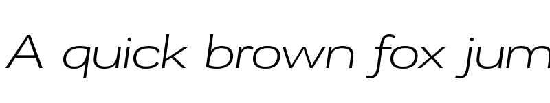 Preview of FONTSPRING DEMO - Remora Corp W5 Light Italic Italic font