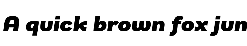 Preview of FONTSPRING DEMO - Remora Sans W3 Black Italic Italic font