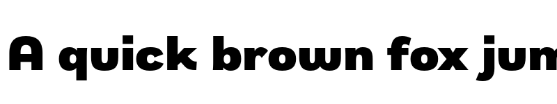 Preview of FONTSPRING DEMO - Remora Sans W3 Black Regular font