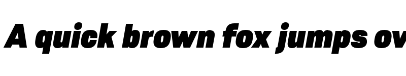 Preview of FONTSPRING DEMO - Resolve Sans Black Ita Regular font