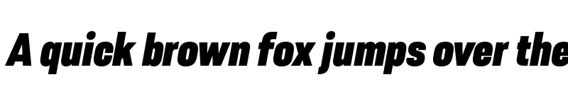 Preview of FONTSPRING DEMO - Resolve Sans Black Nrw Ita Regular font