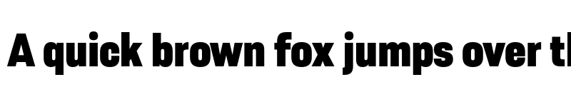 Preview of FONTSPRING DEMO - Resolve Sans Black Nrw Regular font