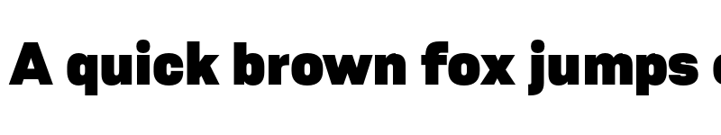 Preview of FONTSPRING DEMO - Resolve Sans Black Regular font