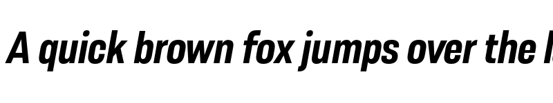 Preview of FONTSPRING DEMO - Resolve Sans Bold Nrw Ita Regular font