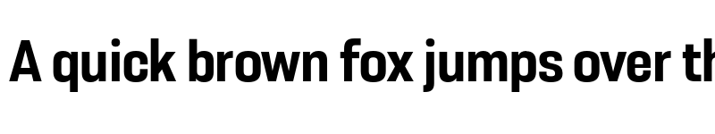 Preview of FONTSPRING DEMO - Resolve Sans Bold Nrw Regular font