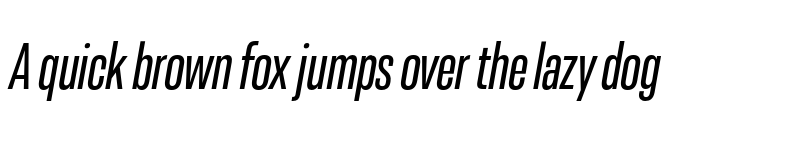 Preview of FONTSPRING DEMO - Resolve Sans Cn Ita Regular font