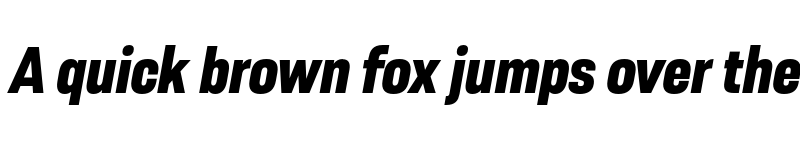 Preview of FONTSPRING DEMO - Resolve Sans Extrabold Nrw Ita Regular font