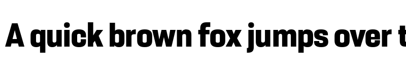 Preview of FONTSPRING DEMO - Resolve Sans Extrabold Nrw Regular font