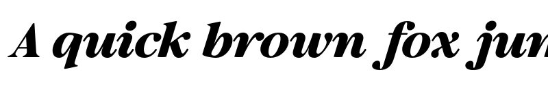 Preview of FONTSPRING DEMO - Results Letter  Black Italic font