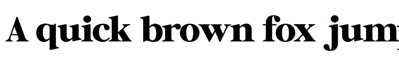 Preview of FONTSPRING DEMO - Results Letter Black Regular font