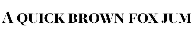 Preview of FONTSPRING DEMO - Revista Black Regular font