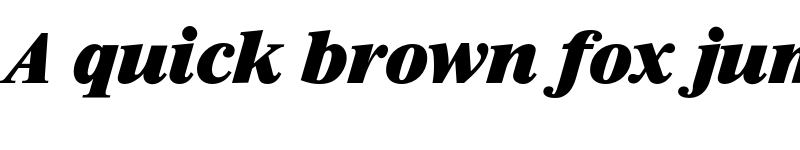 Preview of FONTSPRING DEMO - Riccione Serial Heavy Italic font