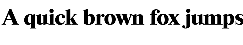 Preview of FONTSPRING DEMO - Riccione Serial Xbold Regular font