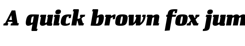 Preview of FONTSPRING DEMO - Rikna Black Italic Regular font