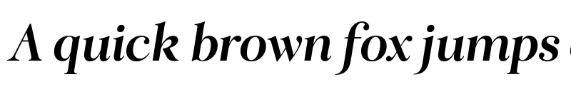 Preview of FONTSPRING DEMO - Ringle Bold Italic font