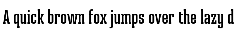 Preview of FONTSPRING DEMO - Ristretto Slab Pro SmBd Regular font