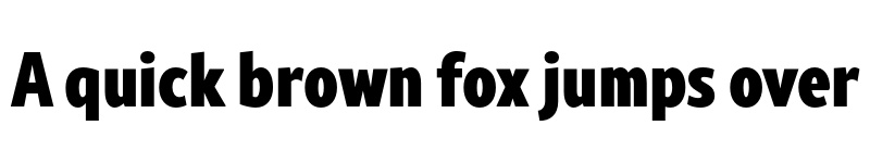 Preview of FONTSPRING DEMO - Rival Sans Narrow Black Regular font