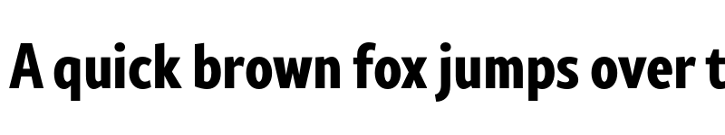 Preview of FONTSPRING DEMO - Rival Sans Narrow ExtraBold Regular font