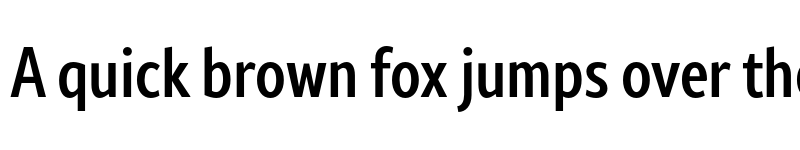 Preview of FONTSPRING DEMO - Rival Sans Narrow Medium Regular font