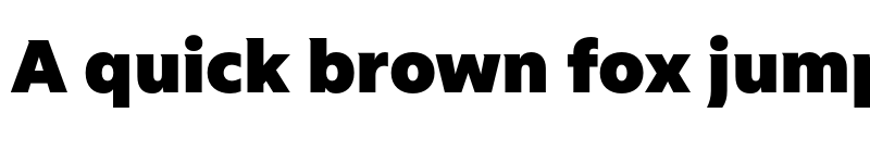 Preview of FONTSPRING DEMO - Riveta Black Regular font