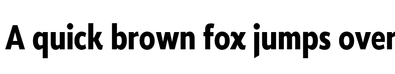 Preview of FONTSPRING DEMO - Roanne Cond Bold Regular font