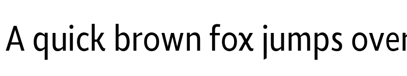 Preview of FONTSPRING DEMO - Roanne Cond Book Regular font