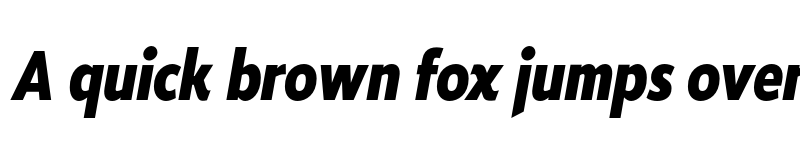 Preview of FONTSPRING DEMO - Roanne Cond ExtraBold Italic Regular font