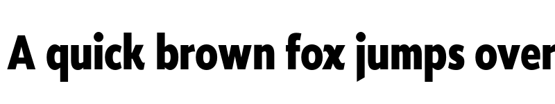 Preview of FONTSPRING DEMO - Roanne Cond ExtraBold Regular font